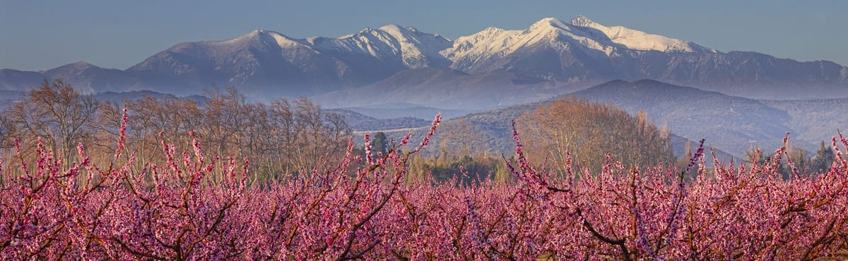 Occitanie